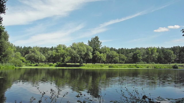 View of Psel River at summer near Sumy in Ukraine