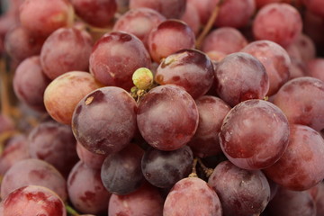Grapes on display at the market