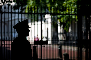 British Royal Guard watching The Gate, London