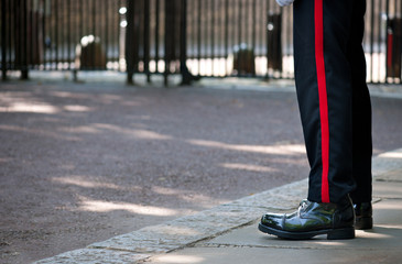 British Royal Guard, London, UK