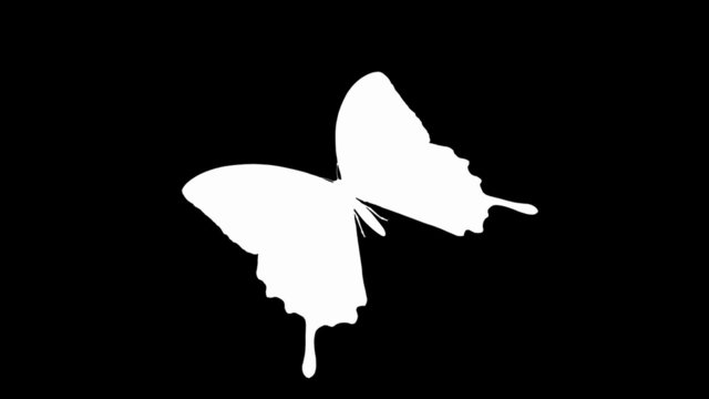 Looping Butterfly Animation. With Alpha Mask