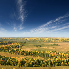 Aerial view river in autumn forest
