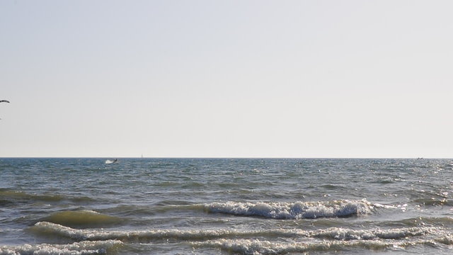 kite surf