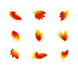 Vector orange leaves