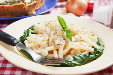 Macaroni pasta with galic and silverbeet