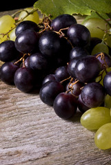 grappoli di uva bianca e nera 2