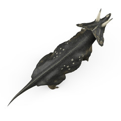 Fototapeta premium diceratops bird eye view