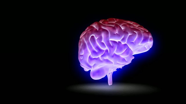 Magic Brain Video