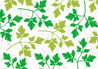 Parsley background on white.