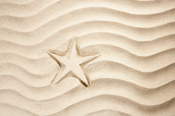 Fototapeta na wymiar beach starfish print white caribbean sand summer