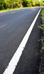 Fototapeta premium Country road lined in north-east Thailand