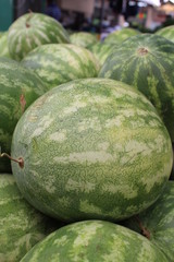 Watermelons on display at the market