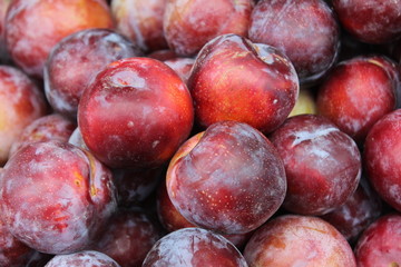 Plums on display at the market