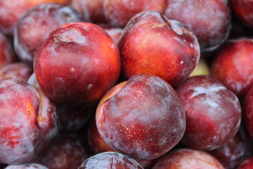 Plums on display at the market