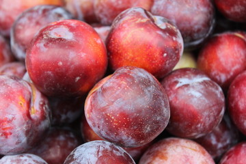 Plums on display at the market