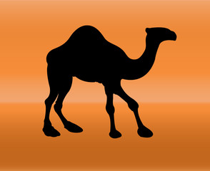 camel silhouette - vector