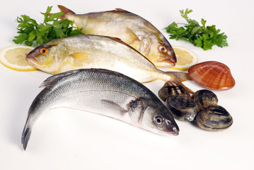 DUE ARICCIOLE E UNA SPIGOLA