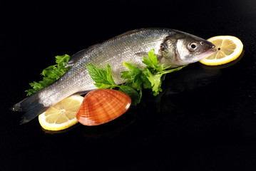 SPIGOLA CON FASOLARE