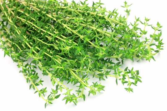 thyme