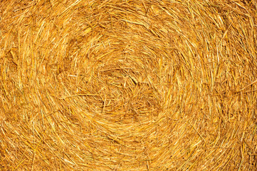 Hay bale background.