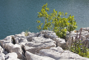 Fototapeta na wymiar Kolory jeziora Somiedo