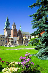 Naklejka premium Wawel - Krakau - Polen