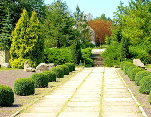 Footpath in park close up