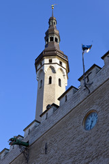 Fototapeta na wymiar Tallinn Town Hall