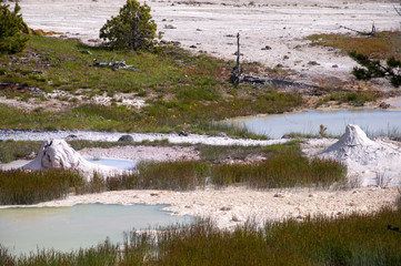 Geothermal pools in Yellowstone National Park,Wyoming USA