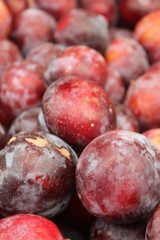 Plums on display at the market