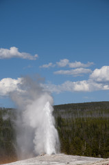 Old Faithful Geyser Yellowstone Nati.Park Wyoming USA