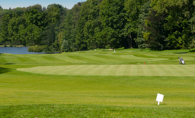 Golf Course in Forest