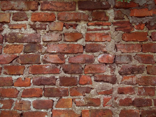 Obraz premium wall brik