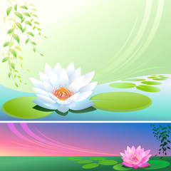 Fototapeta na wymiar Lotus Flower In a Pond - Vector Background