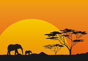 Fototapeta na wymiar Sunset Africa