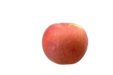 Apple Fruit