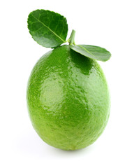 Fresh lime on a white background