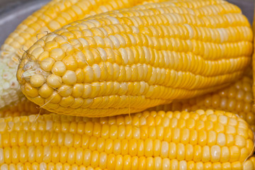 Fresh corn