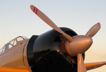 japanese zero closeup view