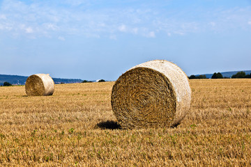 bale of straw on field