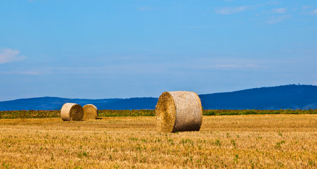 Fototapeta premium bale of straw on field