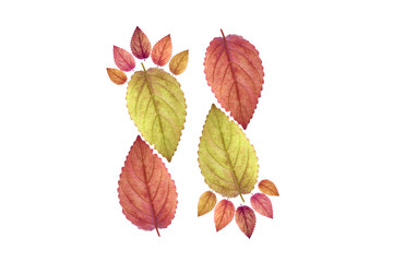 Color leaf footprint