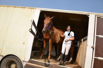 équitation