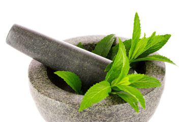 mint in agray mortar isolated on white