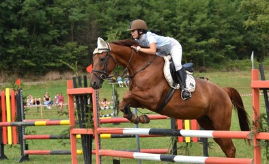 équitation