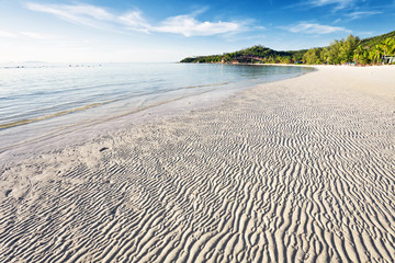 Exotic tropical beach.