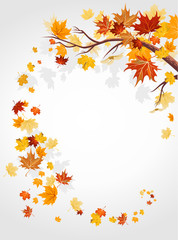 Naklejka na ściany i meble Autumn leaves swirl