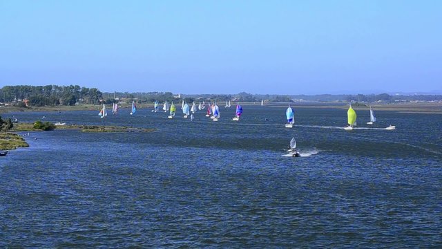 Sailboats in regatta