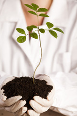 Recycling and plant laboratory