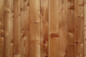 Fir wood texture